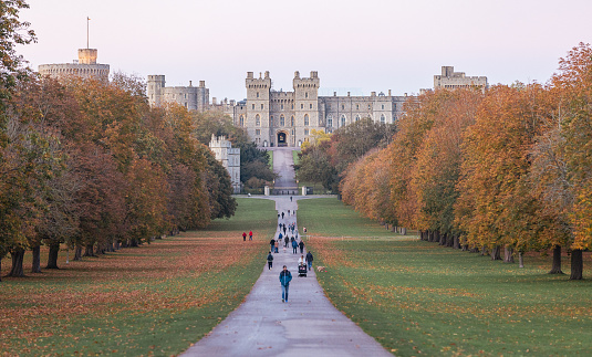 People walk along a tree-lined path covered in autumn leaves leading to a large, historic castle with towers under a clear sky.