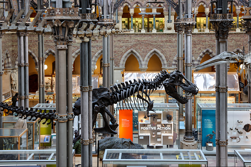A dinosaur skeleton, likely a T. rex, is displayed in a museum hall surrounded by glass cases, informational panels, and ornate iron columns. A sign reading POSITIVE ACTION is visible in the background.