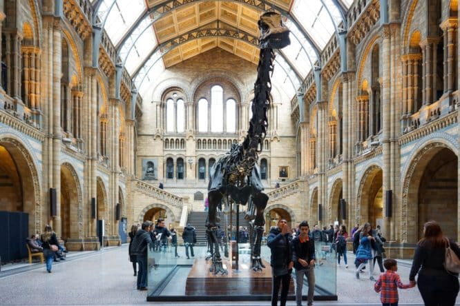 A large dinosaur skeleton is displayed in the grand hall of a museum with high arched ceilings, arched windows, and people walking and viewing the exhibit.